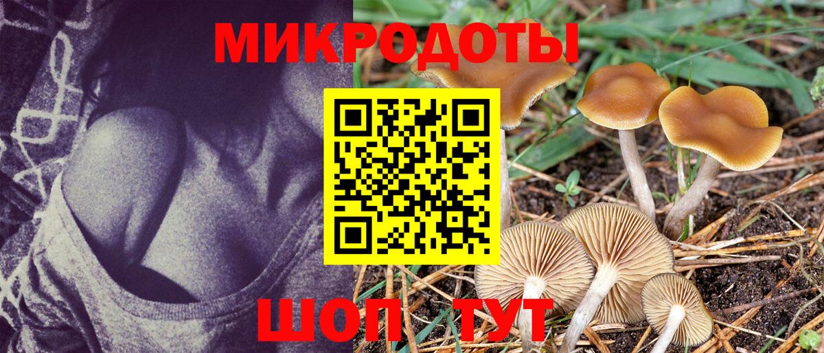 Галлюциногенные грибы MAGIC MUSHROOMS  Вход с VPN  Галлюциногенные грибы мухоморы  сколько стоит  Шелехов 