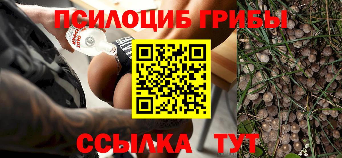 Галлюциногенные грибы мицелий Шелехов